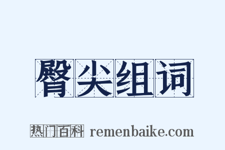 臀尖组词是什么意思的图片